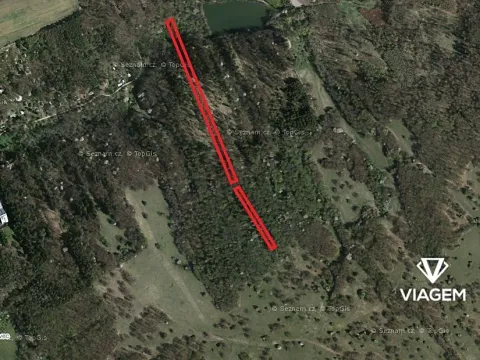 Prodej podílu lesa, Kněždub, 2335 m2