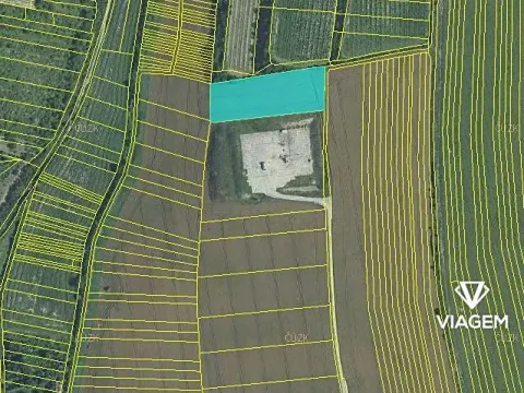 Prodej podílu pole, Žarošice, 786 m2