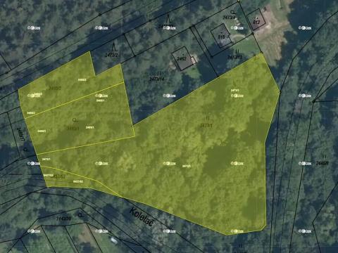 Prodej pole, Bojkovice, 6818 m2