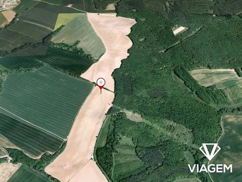 Prodej pole, Mistřice, 3700 m2