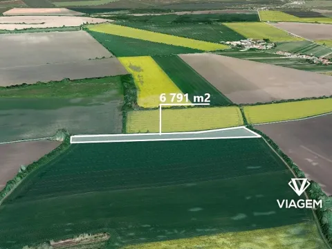 Prodej pole, Kněždub, 6791 m2