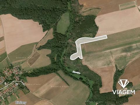 Prodej podílu pole, Šípy, 1150 m2