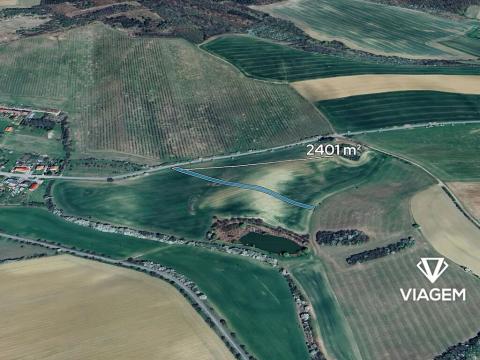 Prodej pole, Litenčice, 2401 m2