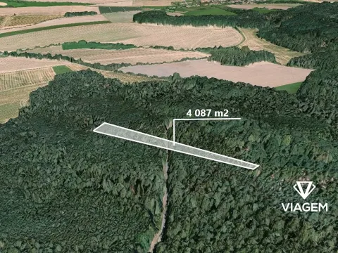 Prodej lesa, Hradiště, 4087 m2