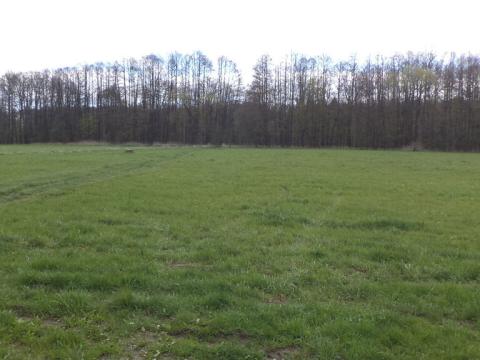 Prodej pole, Tachov, 23048 m2