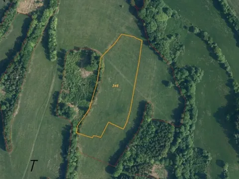 Dražba louky, Roztoky u Semil, 18839 m2