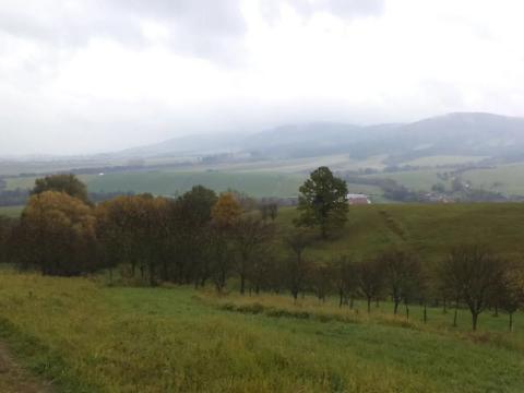 Dražba louky, Vlachovice, 6246 m2