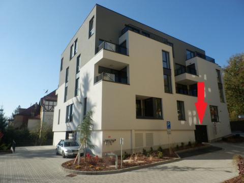 Pronájem ostatní, Liberec - Liberec I-Staré Město, Riegrova