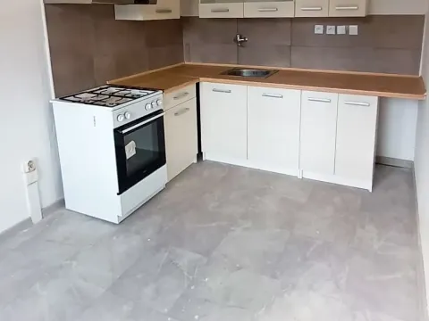 Pronájem bytu 3+1, Most, Růžová, 57 m2