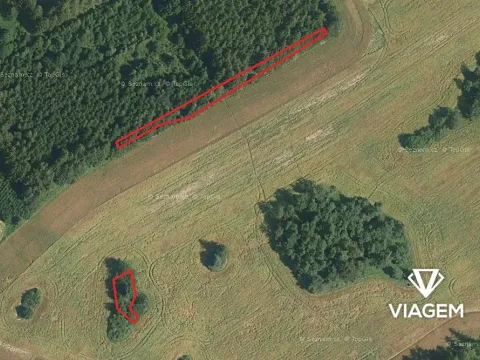 Prodej lesa, Věchnov, 415 m2