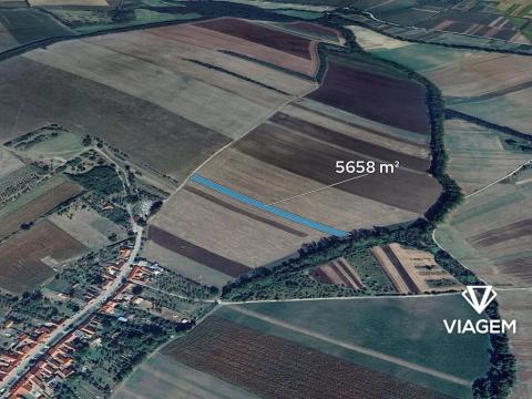 Prodej podílu pole, Malá Vrbka, 2121 m2