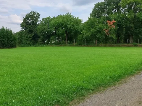 Prodej pozemku pro bydlení, Střížovice, 1076 m2