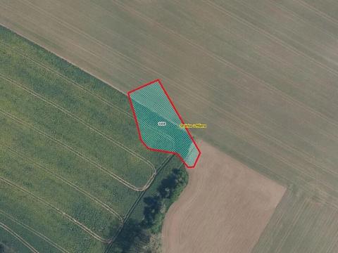 Prodej pole, Stránka, 2020 m2