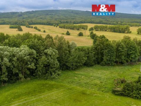 Prodej louky, Dětřichov, 4178 m2