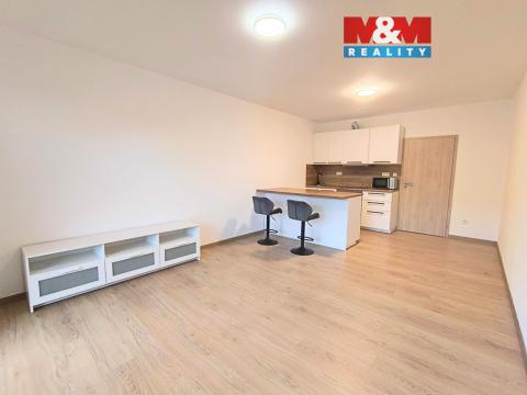 Pronájem bytu 1+kk, Slaný, Lázeňská, 35 m2