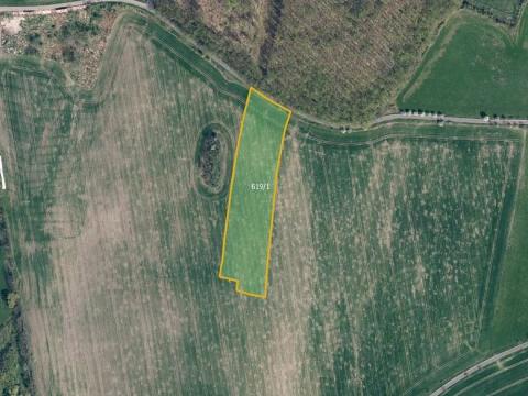 Prodej pole, Třebušín, 32021 m2