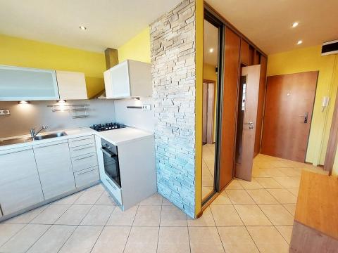 Pronájem bytu 1+1, Brno, Ečerova, 40 m2