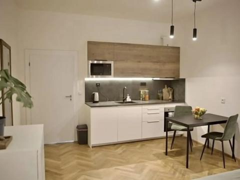 Pronájem bytu 1+kk, Praha - Žižkov, 27 m2