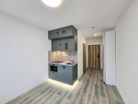 Pronájem bytu 1+kk, Praha - Šeberov, Zadní, 23 m2