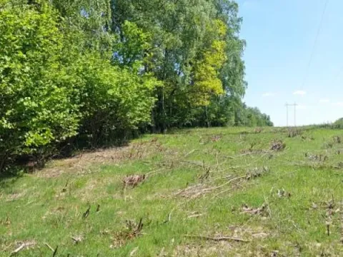 Prodej lesa, Vyskytná, 1907 m2