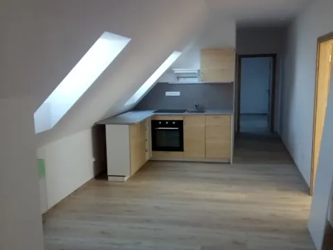 Pronájem bytu 1+1, Blatná, 55 m2