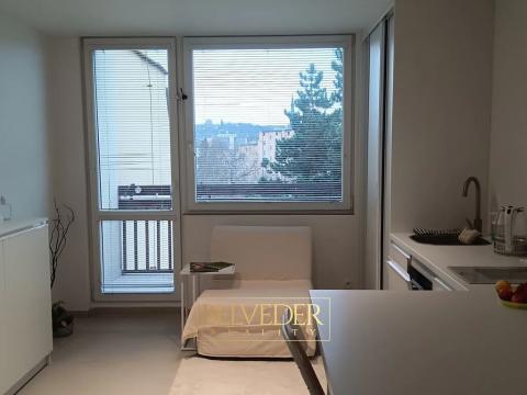 Pronájem bytu 1+kk, Teplice, Petra Jilemnického, 26 m2