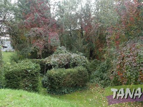 Prodej pozemku pro bydlení, Mladějov, 382 m2