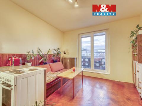 Pronájem bytu 1+kk, Plzeň - Východní Předměstí, Šafaříkovy sady, 23 m2