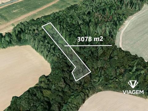 Prodej lesa, Chyňava, 3078 m2