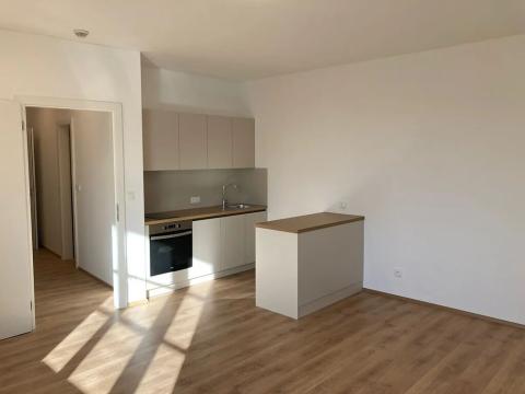 Pronájem bytu 1+kk, Praha - Žižkov, Na rovnosti, 50 m2