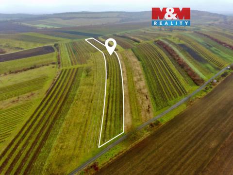 Prodej pole, Dolní Dunajovice, 6580 m2