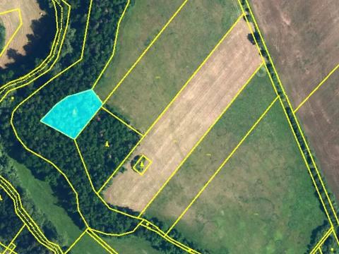 Prodej lesa, Rouchovany, 1620 m2