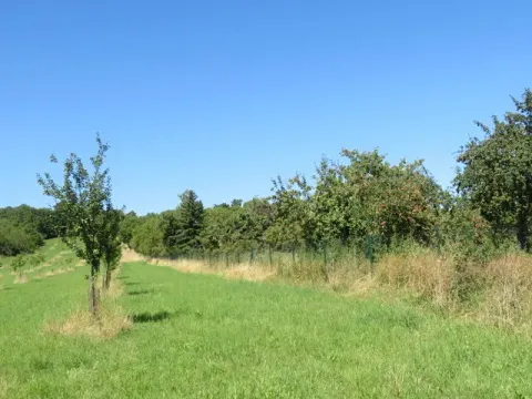 Dražba pozemku, Nové Strašecí, 5768 m2