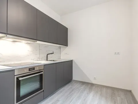 Pronájem bytu 1+1, Praha - Vršovice, Košická, 30 m2