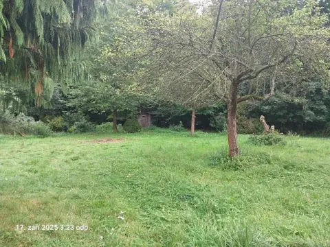 Prodej lesa, Chlístovice, 1161 m2