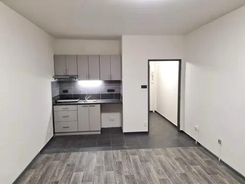 Pronájem bytu 1+kk, Hradec Králové, třída Edvarda Beneše, 30 m2