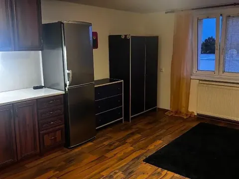 Pronájem bytu 1+kk, Praha - Řepy, Krolmusova, 22 m2