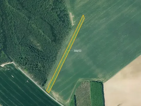 Prodej pole, Horní Bříza, 4937 m2