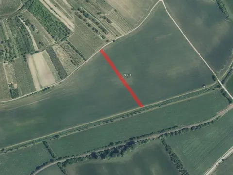 Prodej pole, Kobylí, 4454 m2