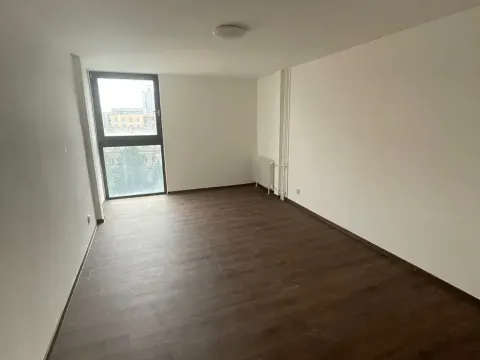 Pronájem bytu 1+kk, Liberec, Revoluční, 29 m2