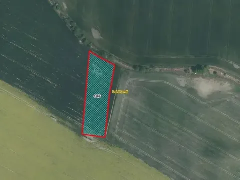 Prodej pole, Dolní Roveň, 6475 m2