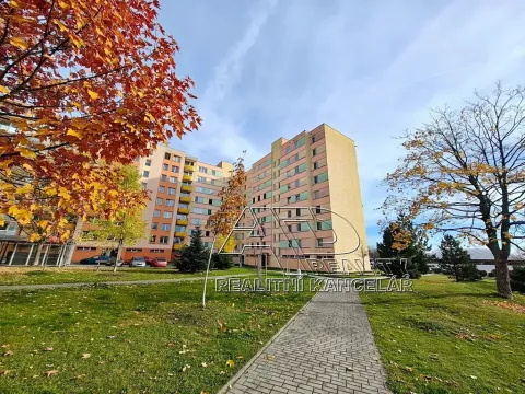 Prodej bytu 4+1, České Budějovice, Netolická, 85 m2