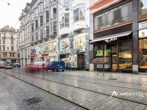Prodej obchodního prostoru, Brno, Masarykova, 494 m2