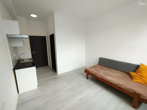 Pronájem bytu 1+kk, Sázava, Poznaňská, 18 m2