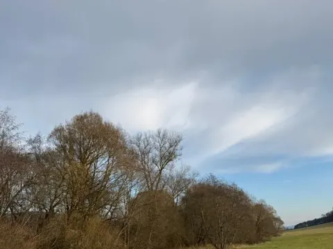 Prodej pozemku, Chvalšiny, 21761 m2