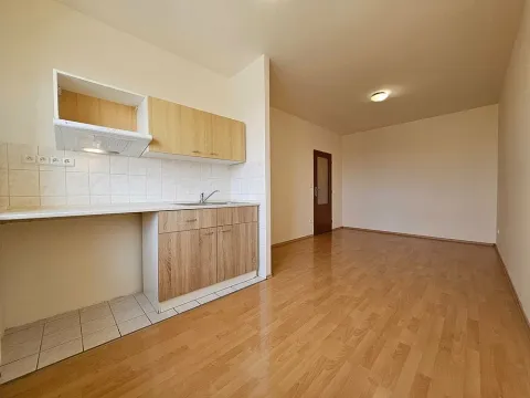 Pronájem bytu 1+kk, Brno, Svitavské nábřeží, 24 m2