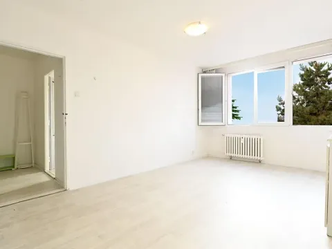 Prodej bytu 2+kk, Litvínov, Kopistská, 41 m2