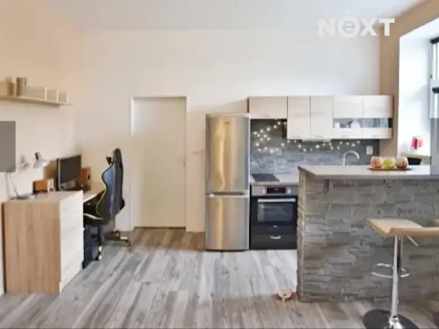 Pronájem bytu 1+kk, České Budějovice, K. V. Raise, 30 m2