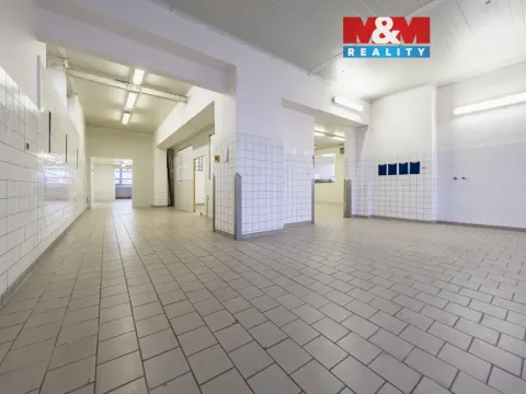 Pronájem skladu, Nymburk, Jičínská, 249 m2