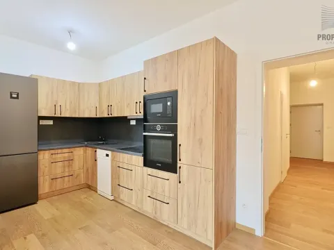 Pronájem bytu 2+kk, Brno, Stavební, 41 m2